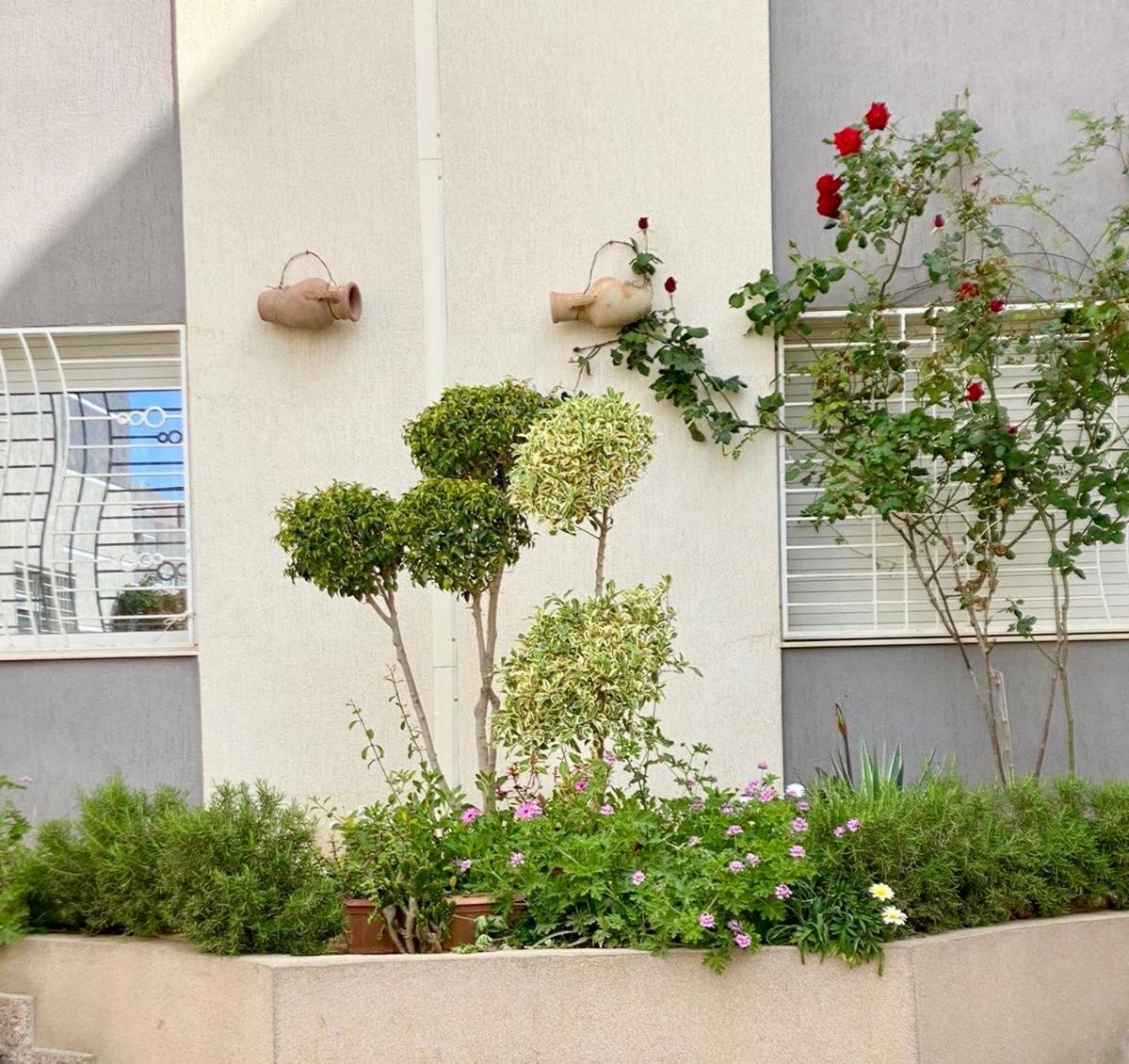 Casa Charm Falaise Monastir Luaran gambar